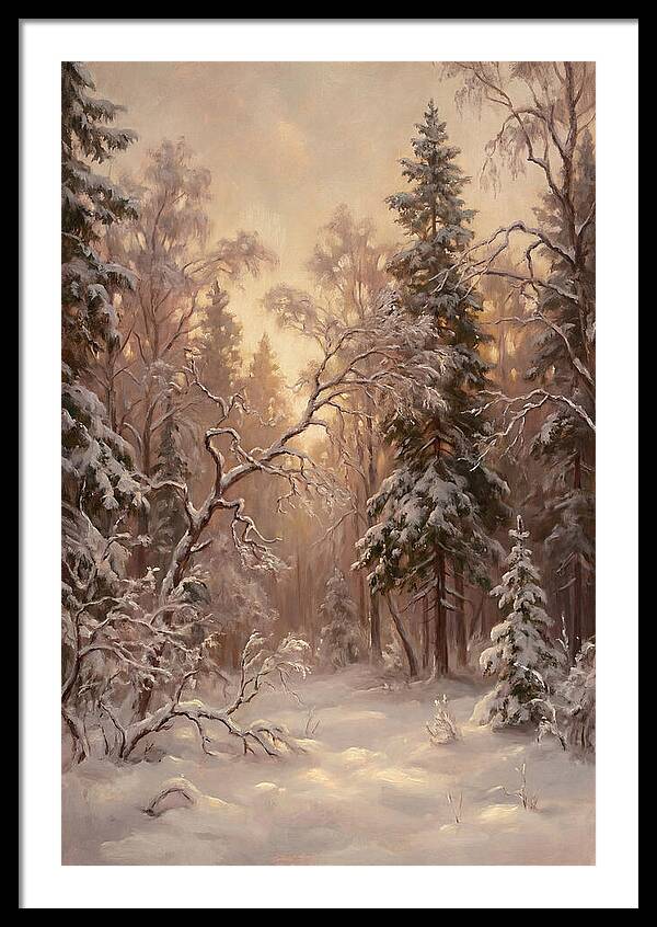 Winter Forest Scene