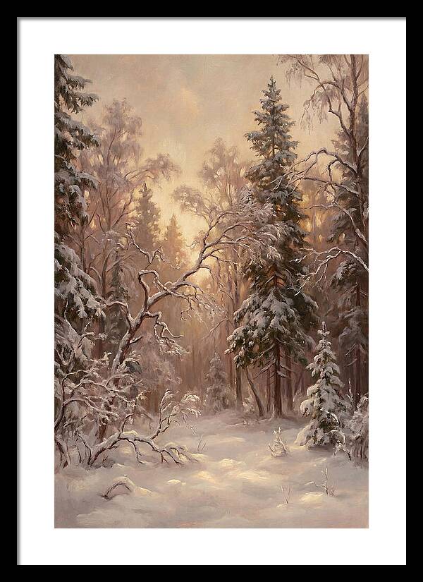 Winter Forest Scene