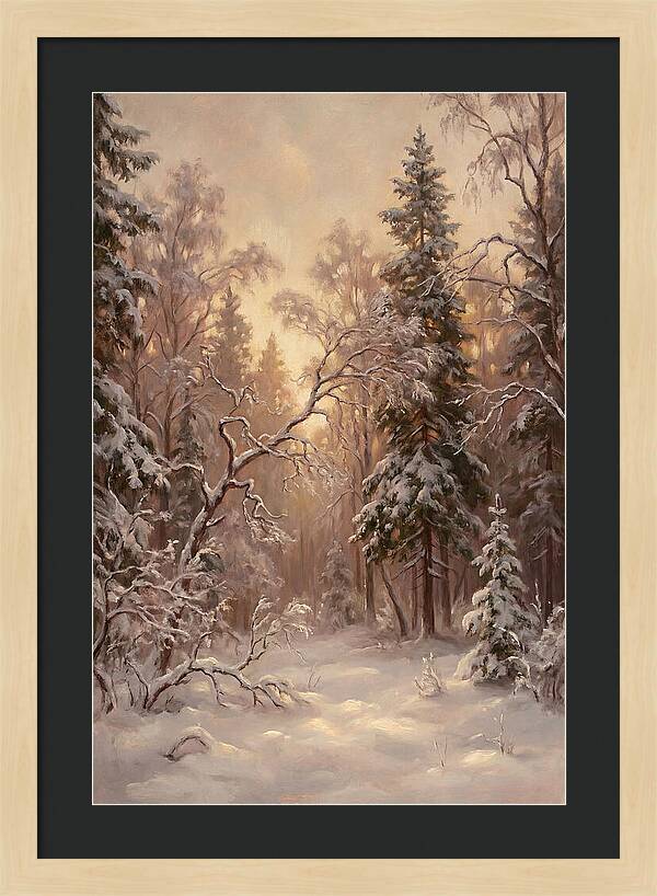 Winter Forest Scene