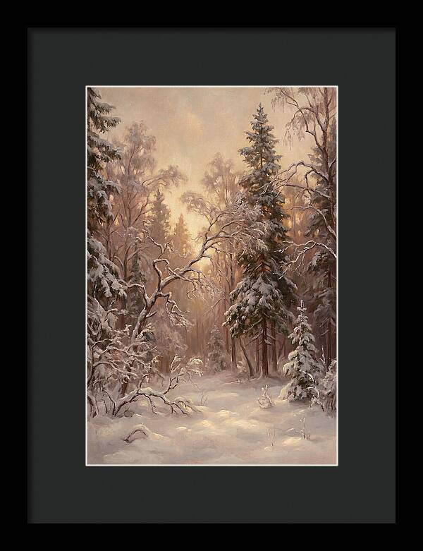 Winter Forest Scene