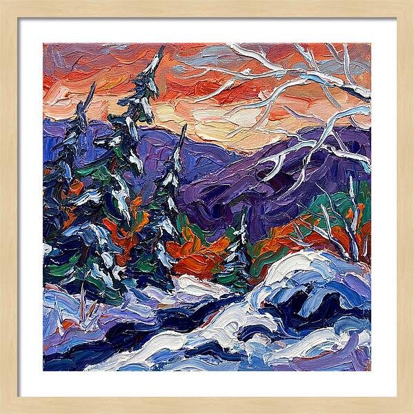 Winter Forest Serenity