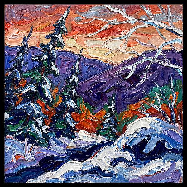 Winter Forest Serenity