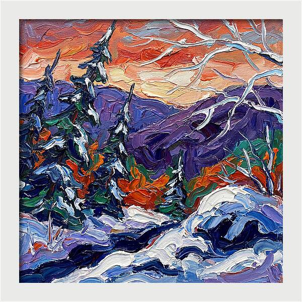 Winter Forest Serenity