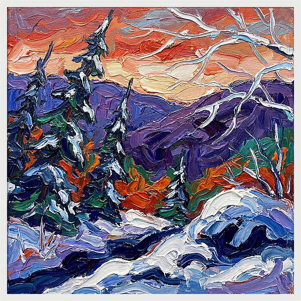 Winter Forest Serenity