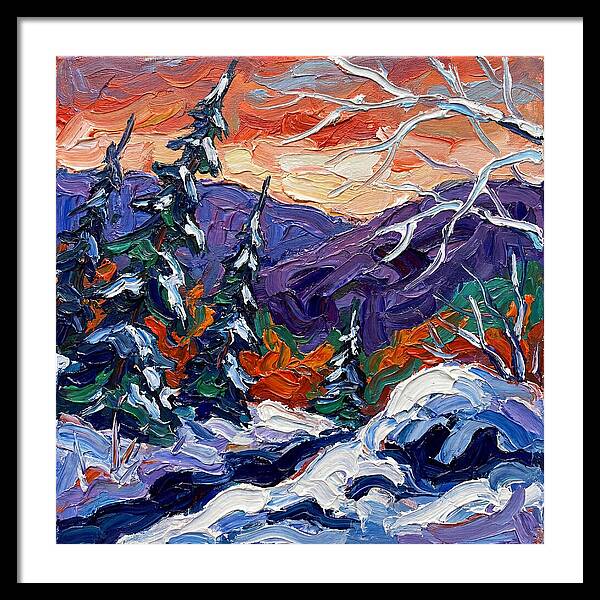 Winter Forest Serenity