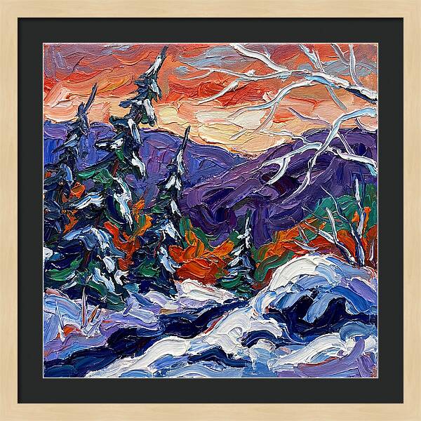 Winter Forest Serenity