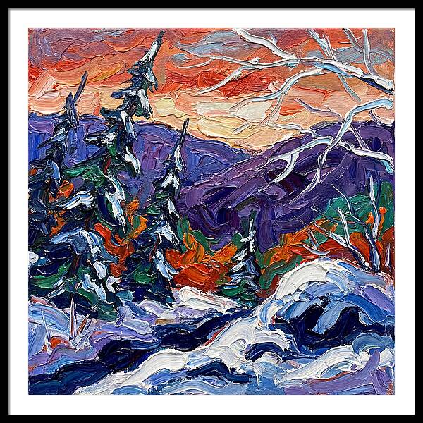 Winter Forest Serenity
