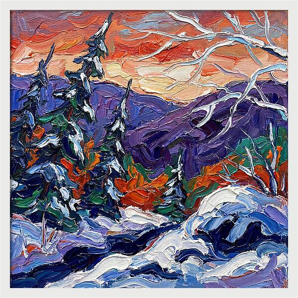 Winter Forest Serenity