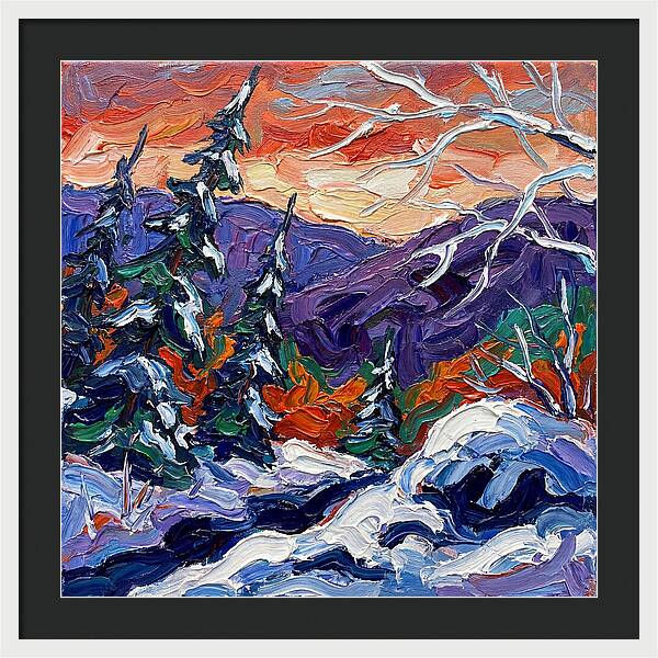 Winter Forest Serenity