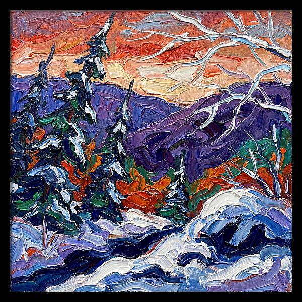 Winter Forest Serenity