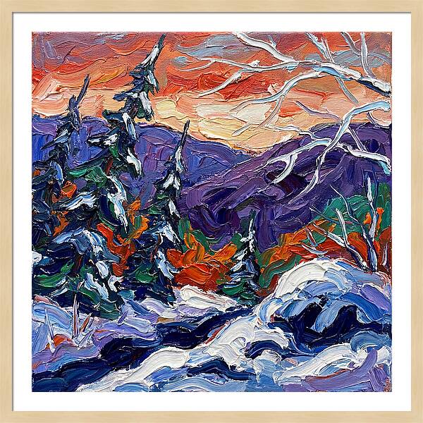 Winter Forest Serenity