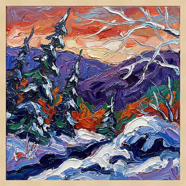 Winter Forest Serenity