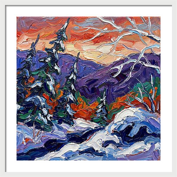 Winter Forest Serenity