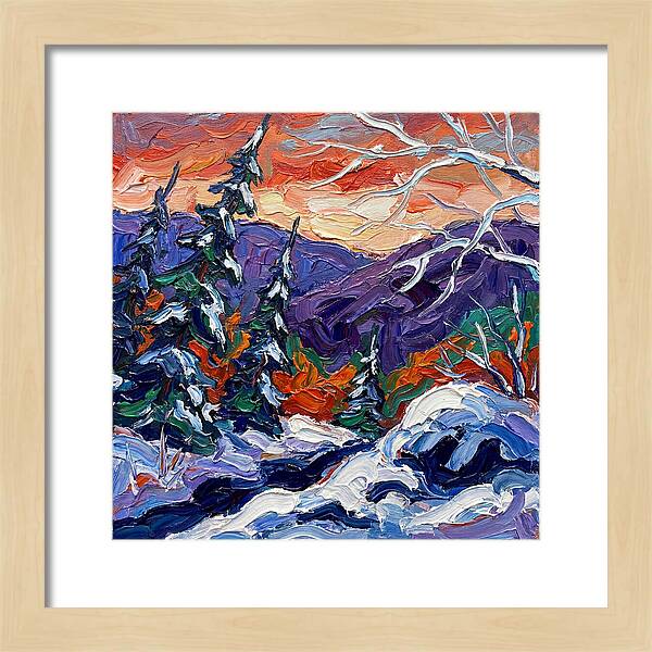 Winter Forest Serenity