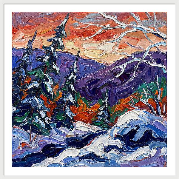 Winter Forest Serenity