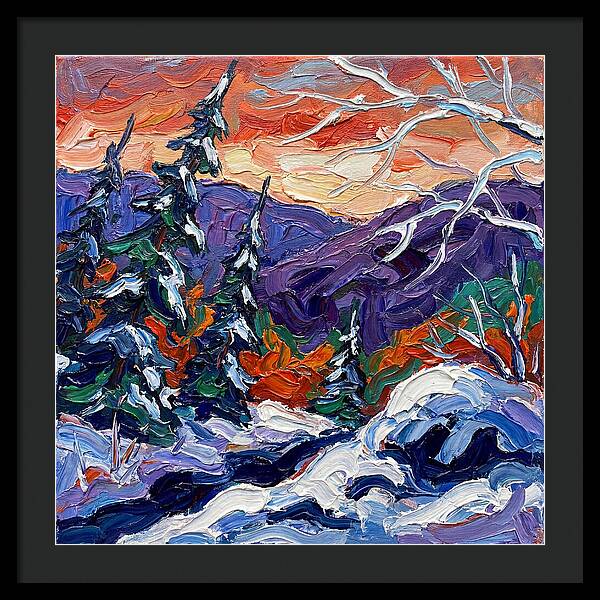 Winter Forest Serenity