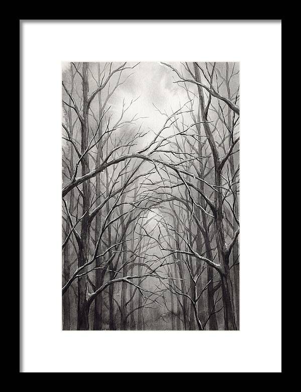 Winter Forest Serenity