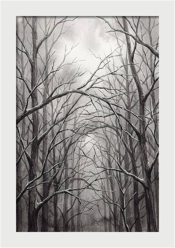 Winter Forest Serenity