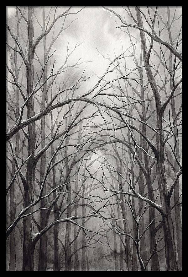 Winter Forest Serenity