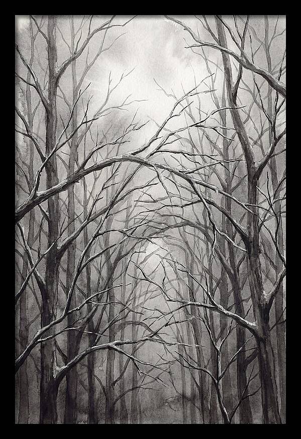 Winter Forest Serenity