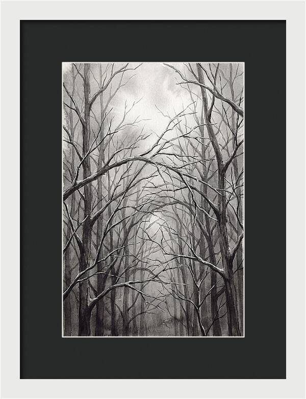 Winter Forest Serenity