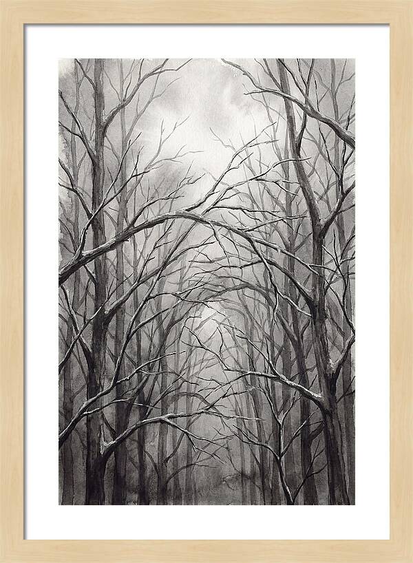 Winter Forest Serenity