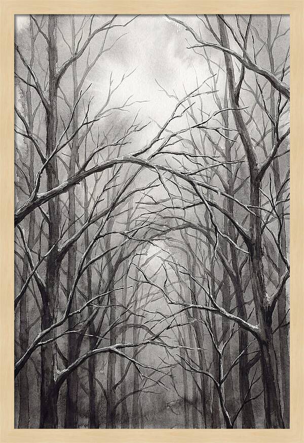 Winter Forest Serenity