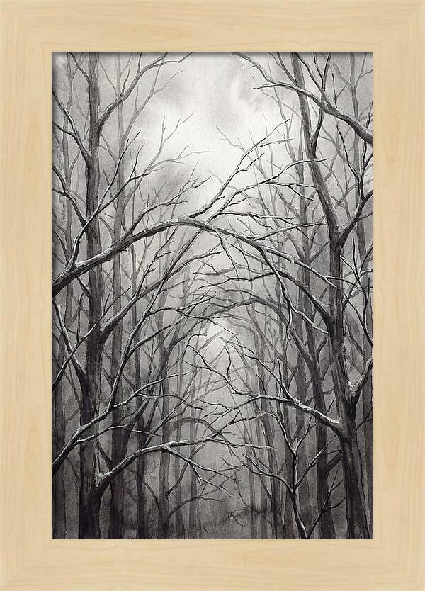 Winter Forest Serenity