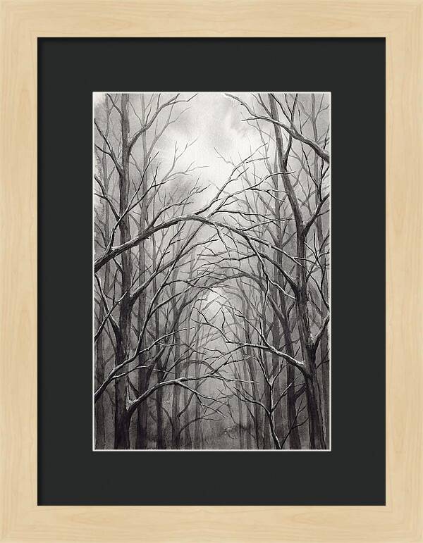 Winter Forest Serenity