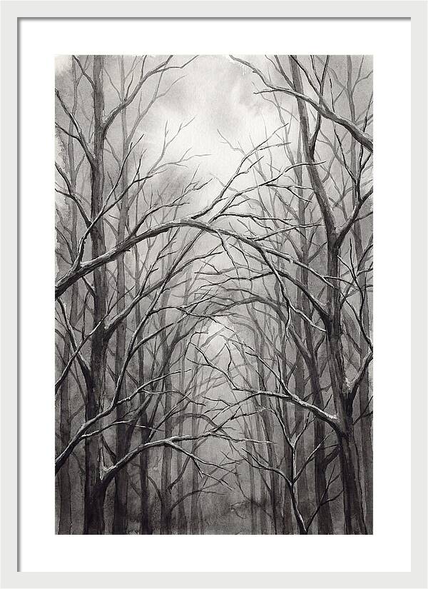 Winter Forest Serenity