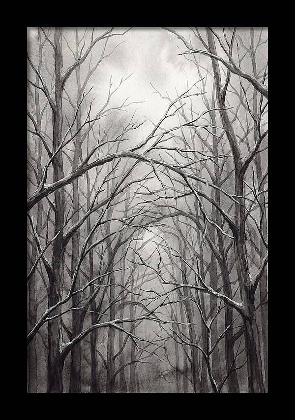 Winter Forest Serenity