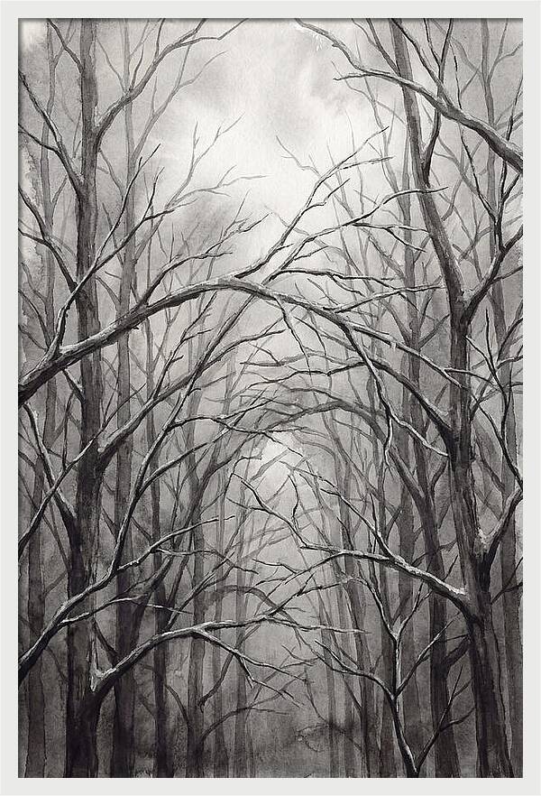 Winter Forest Serenity
