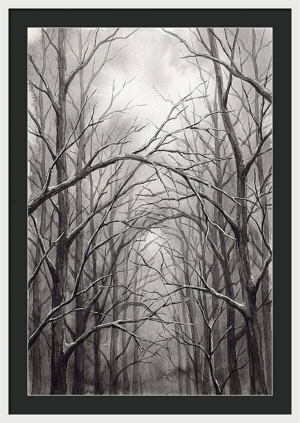 Winter Forest Serenity