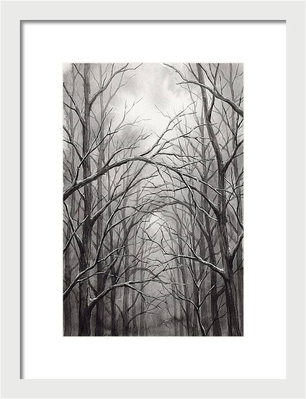 Winter Forest Serenity