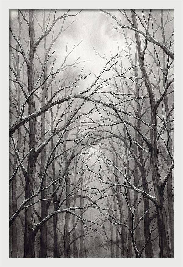 Winter Forest Serenity