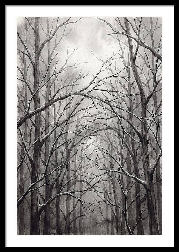 Winter Forest Serenity