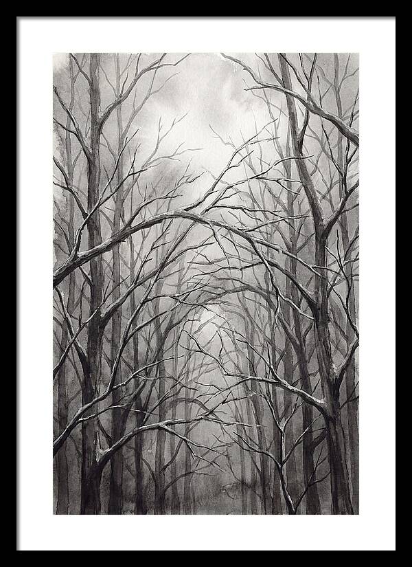 Winter Forest Serenity