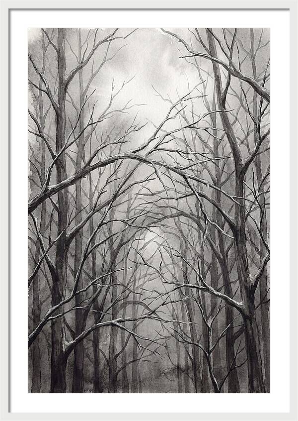Winter Forest Serenity