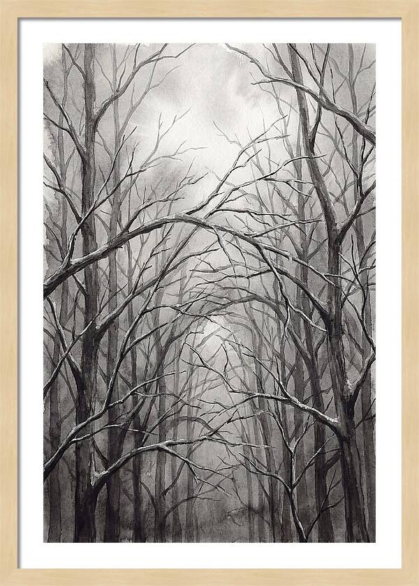 Winter Forest Serenity