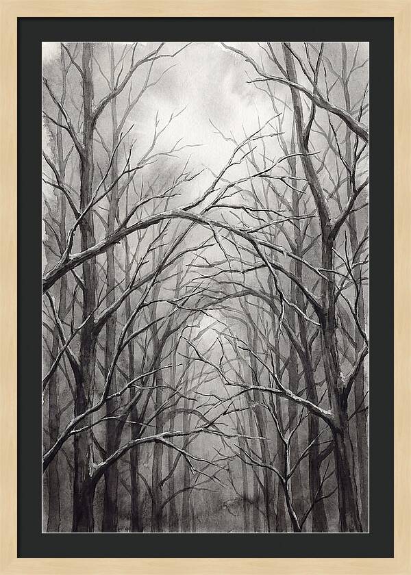 Winter Forest Serenity