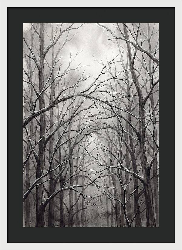Winter Forest Serenity