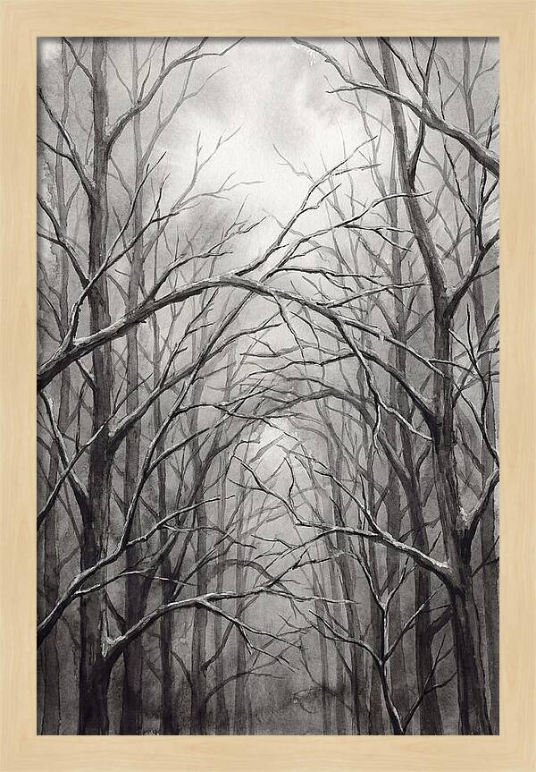 Winter Forest Serenity