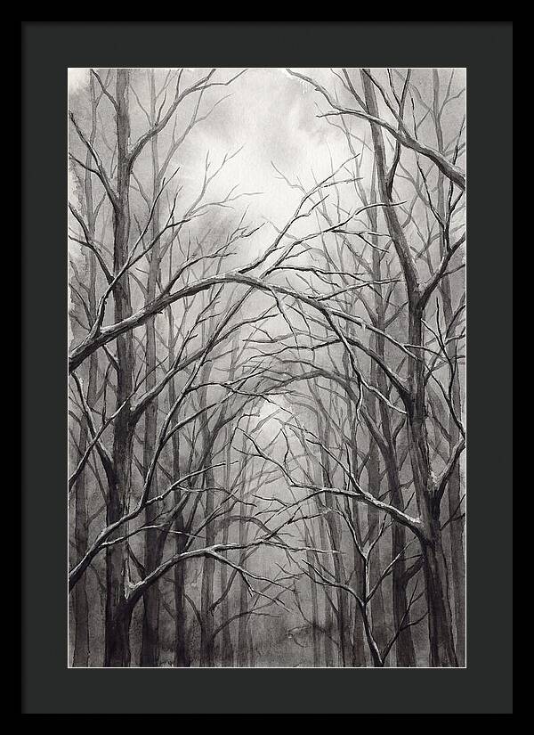 Winter Forest Serenity
