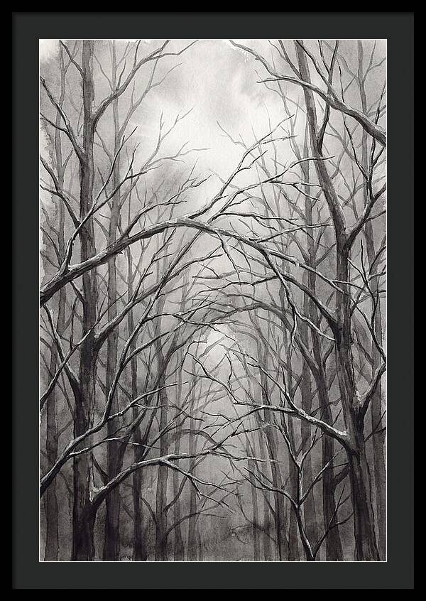 Winter Forest Serenity