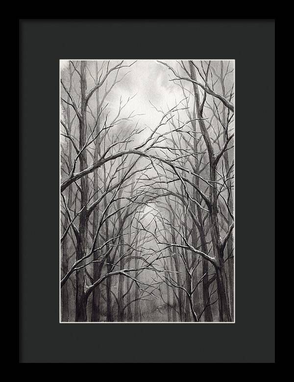 Winter Forest Serenity