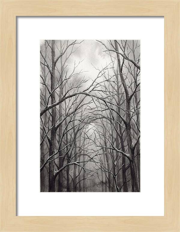 Winter Forest Serenity
