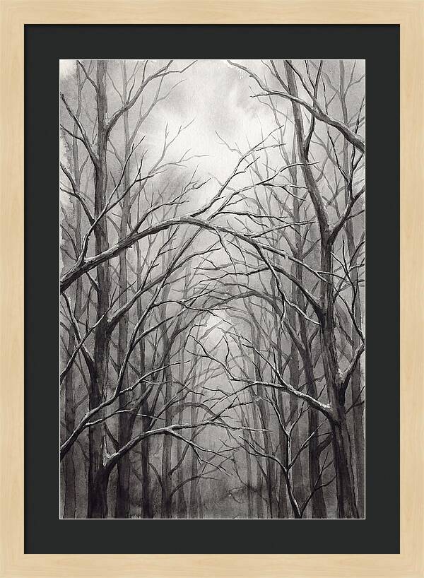 Winter Forest Serenity