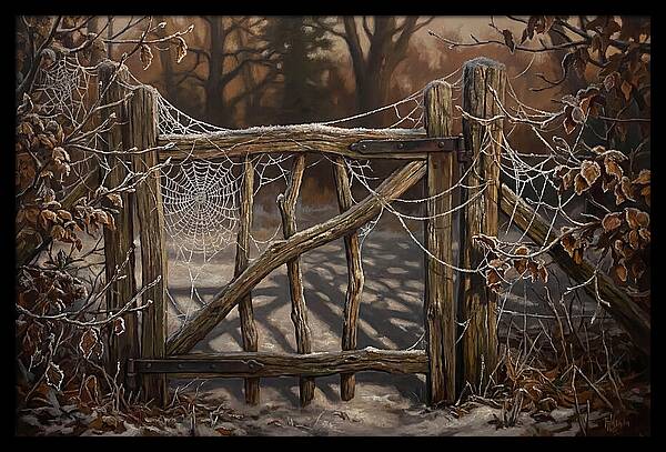 Winter Frost On Cobwebs
