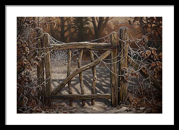 Winter Frost On Cobwebs