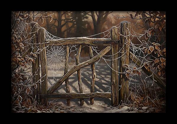 Winter Frost On Cobwebs